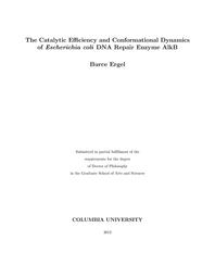 thumbnail for Ergel_columbia_0054D_11040.pdf