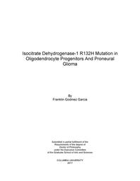 thumbnail for Garcia_columbia_0054D_14085.pdf