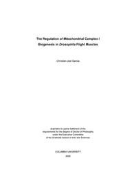 thumbnail for Garcia_columbia_0054D_15632.pdf