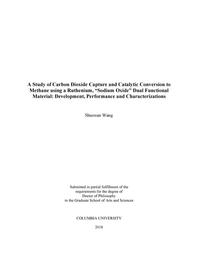 thumbnail for Wang_columbia_0054D_14553.pdf