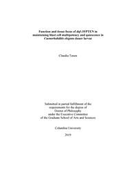 thumbnail for Tenen_columbia_0054D_15158.pdf