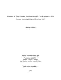 thumbnail for Apostolou_columbia_0054D_19440.pdf