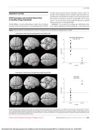 thumbnail for Scarmeas-2003-APOE genotype and cerebral blood.pdf