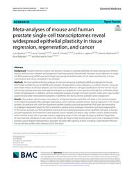 thumbnail for 13073_2025_Article_1432.pdf