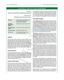 thumbnail for CS 8.2 - New York, United States.pdf