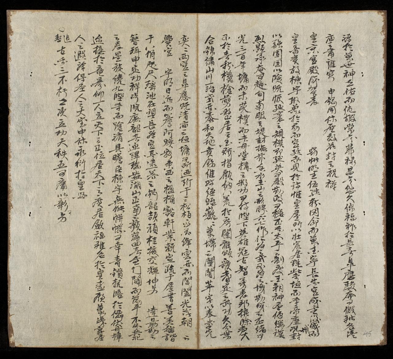 page 45