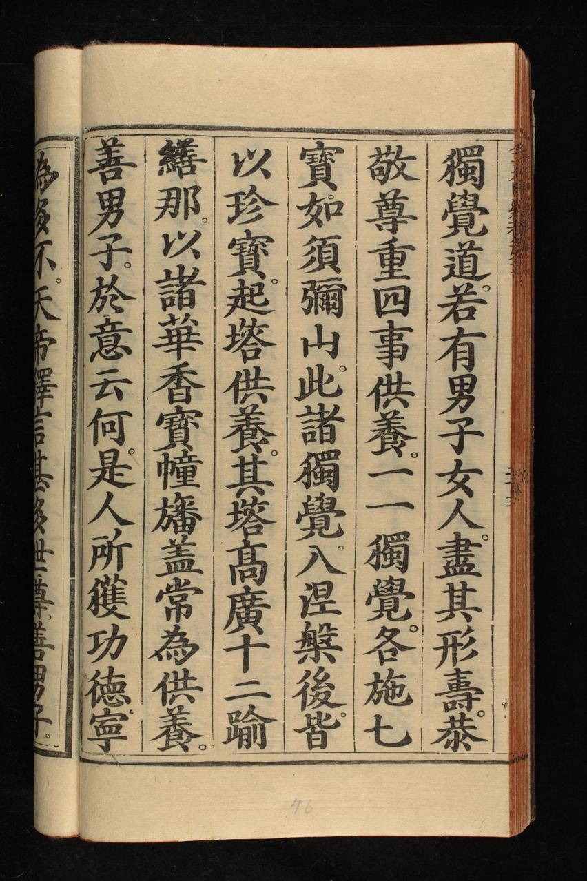 page 233