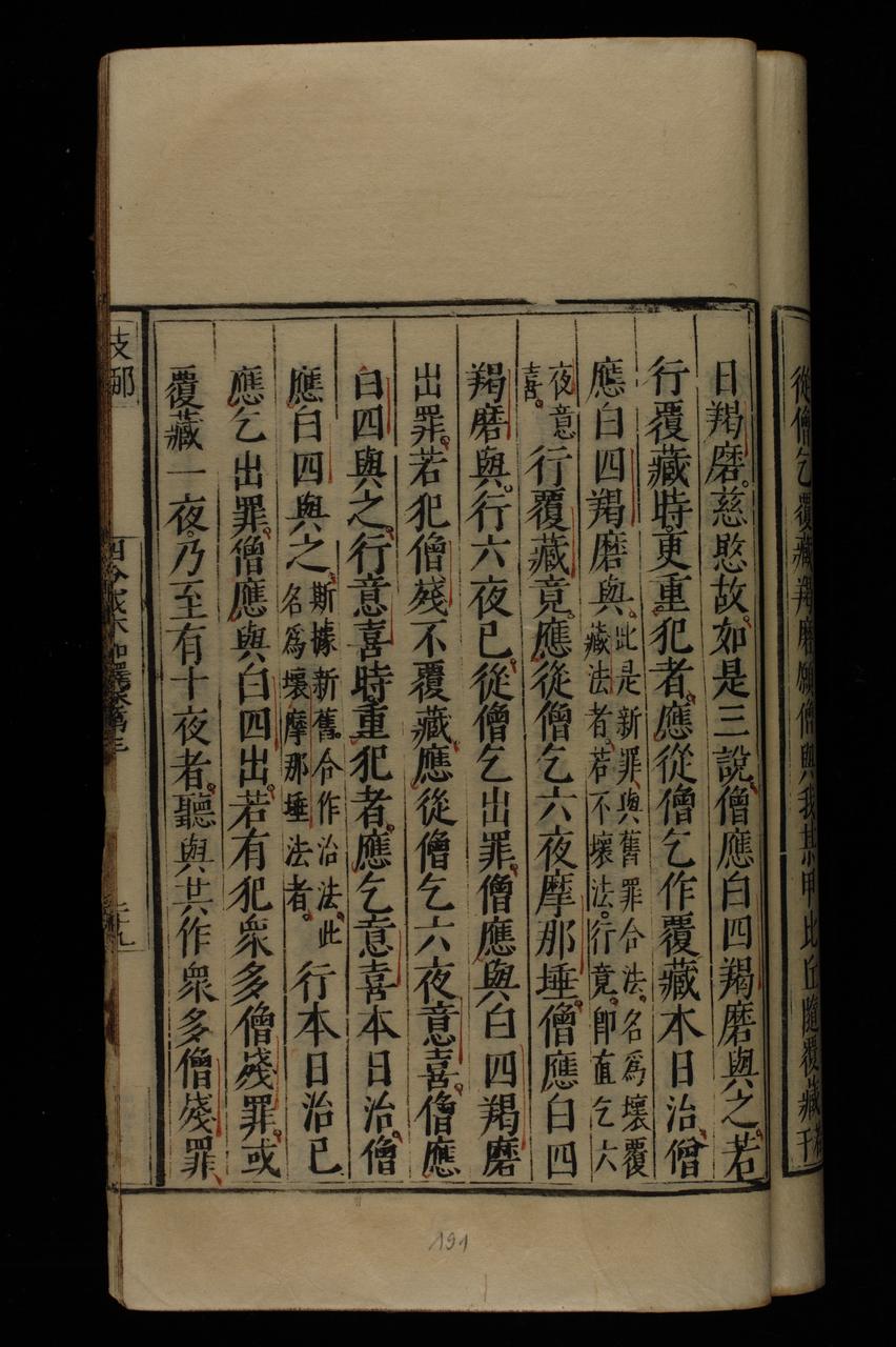 page 191