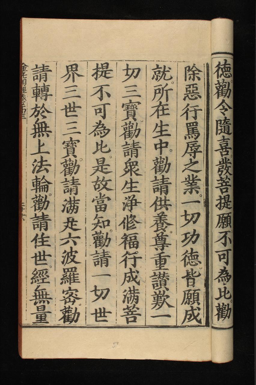 page 238