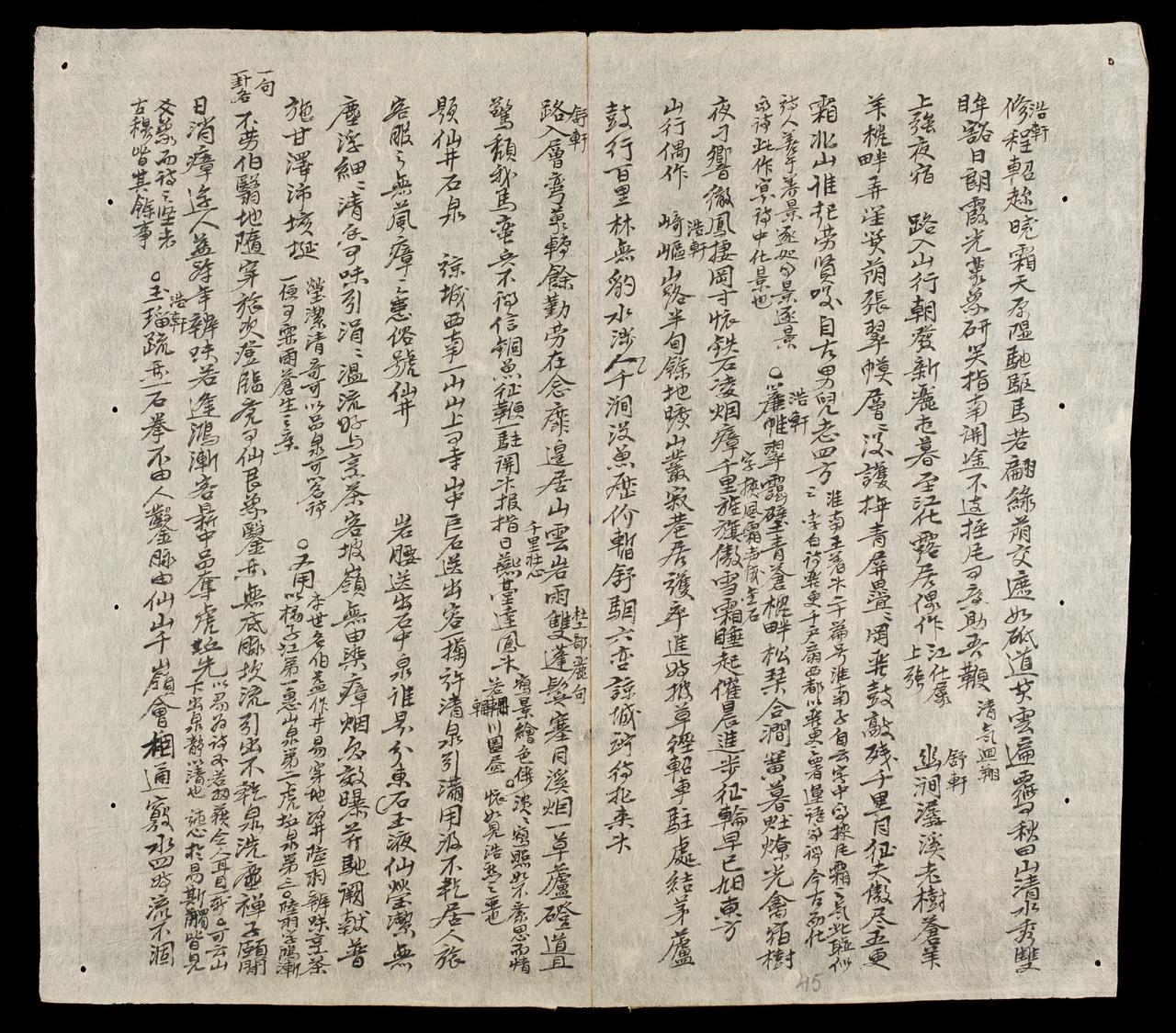 page 45