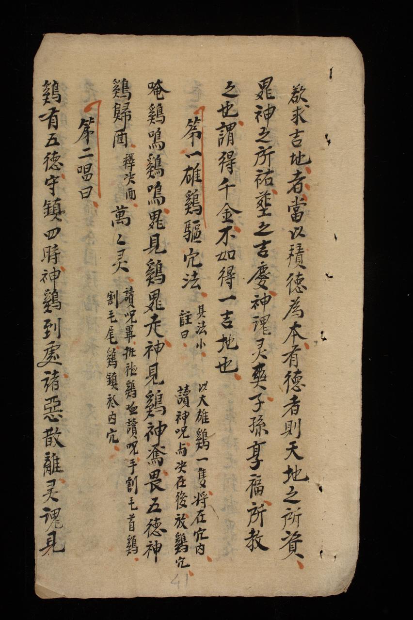 page 41