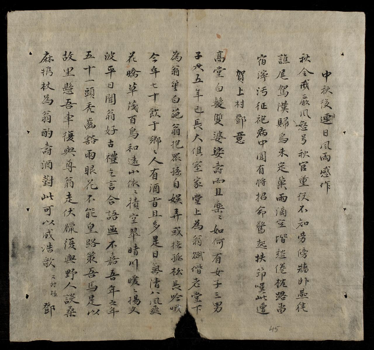 page 45