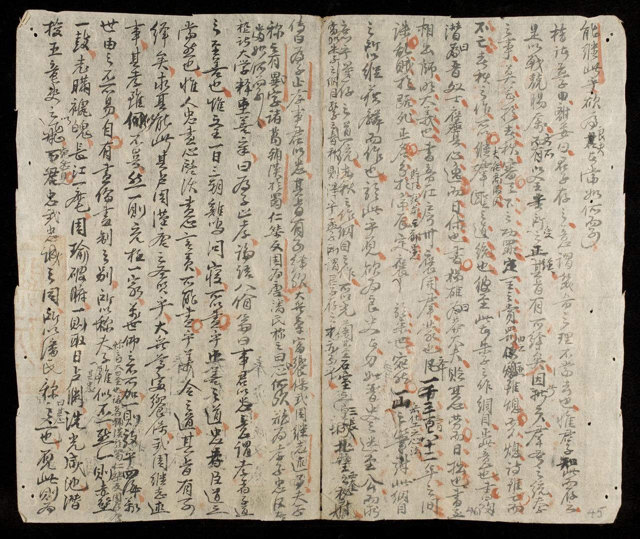 page 45