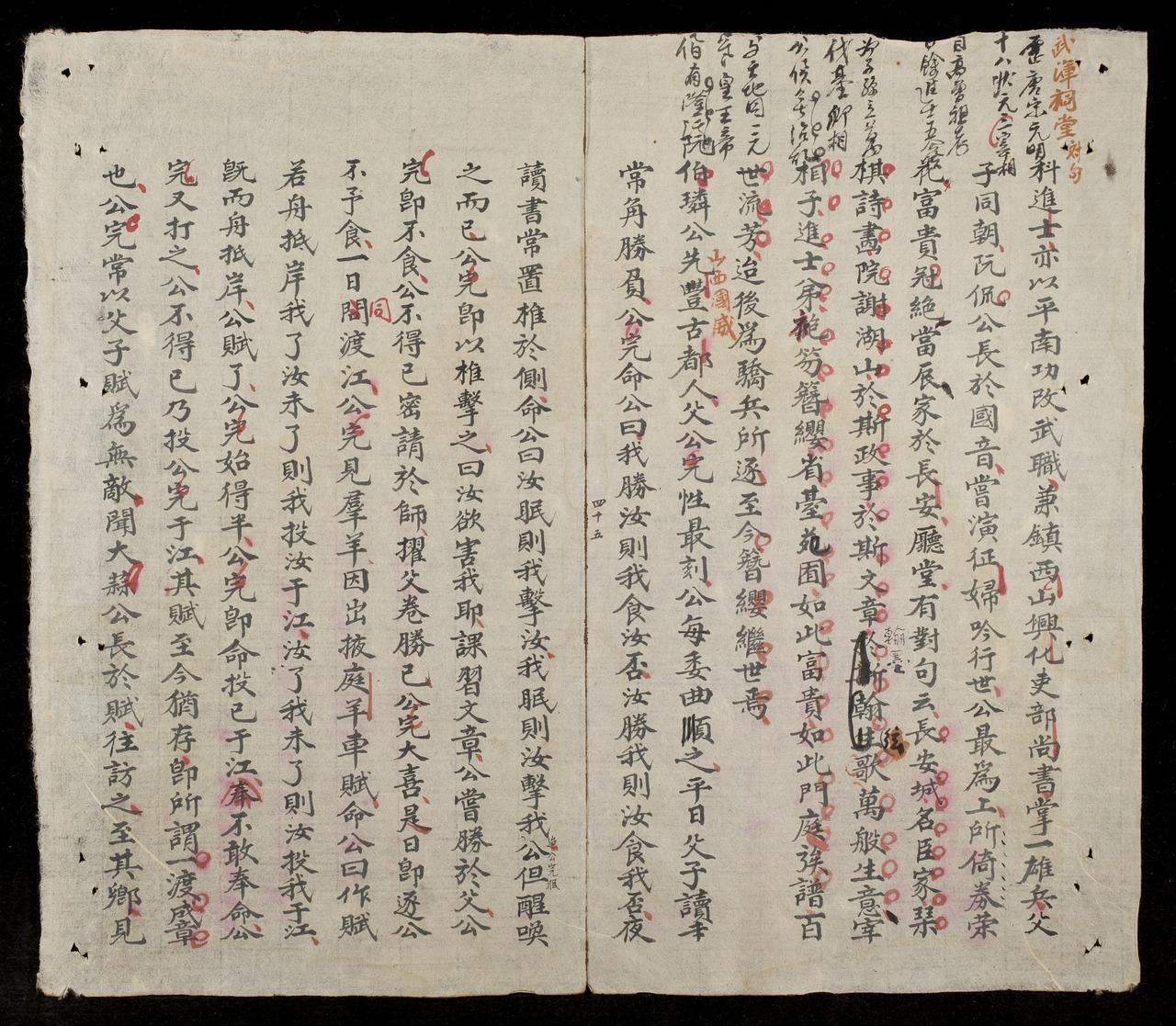 page 45