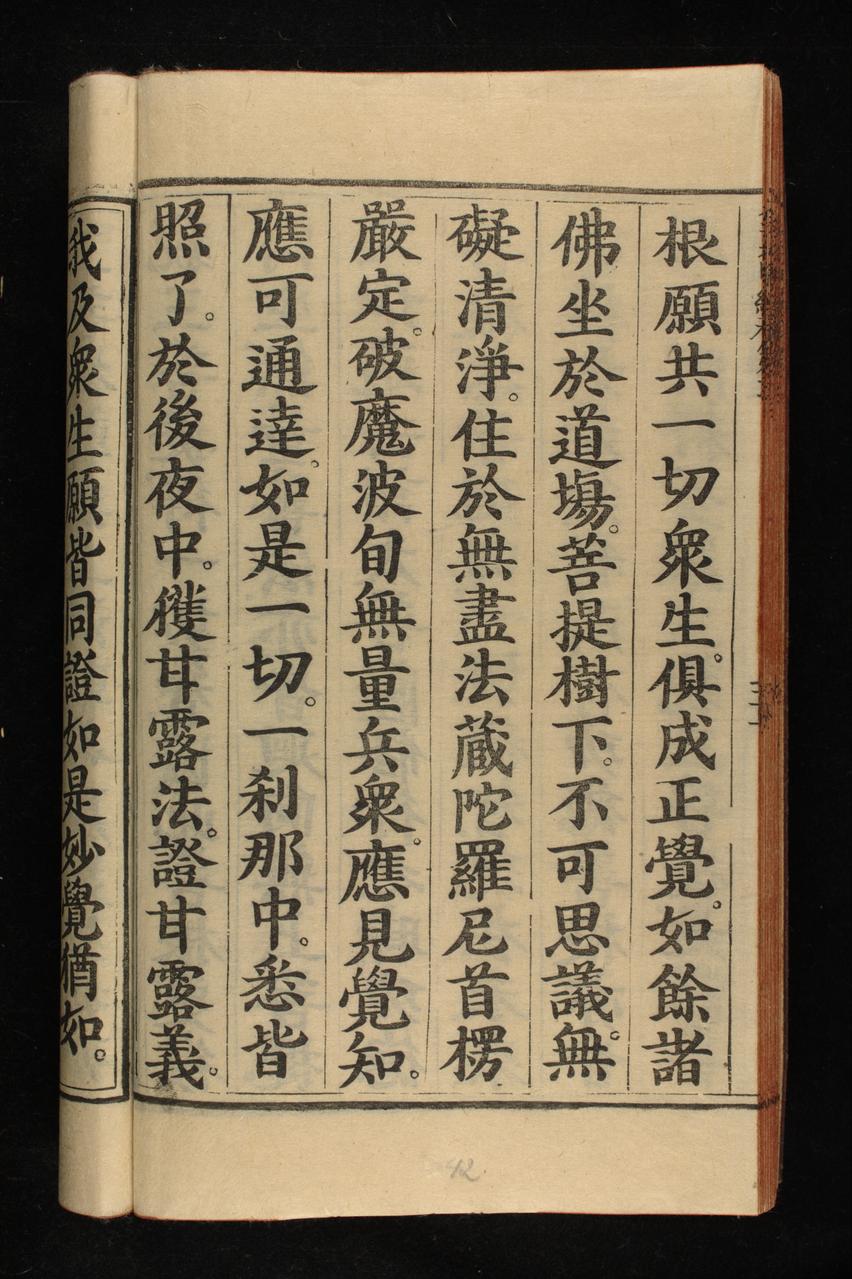 page 229